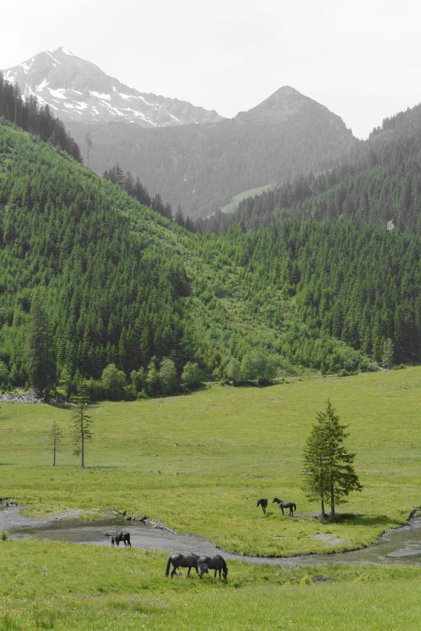 Апартаменты Himmlisch Urlauben St. Nikolai Sankt Nikolai im Solktal Экстерьер фото